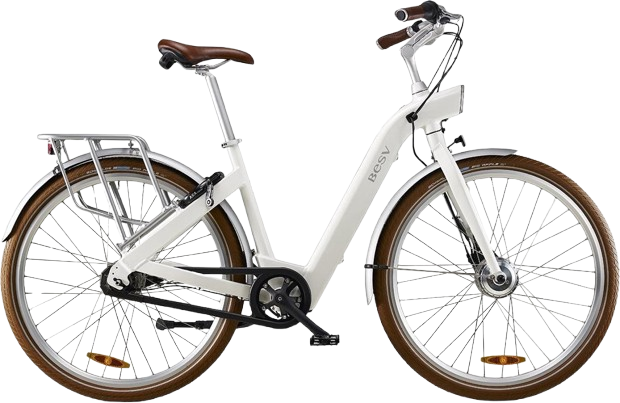 Besv CF 1 FM 36V accu reviseren.png